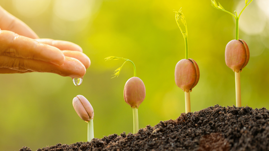 I am Sure of This – Growth in Christ