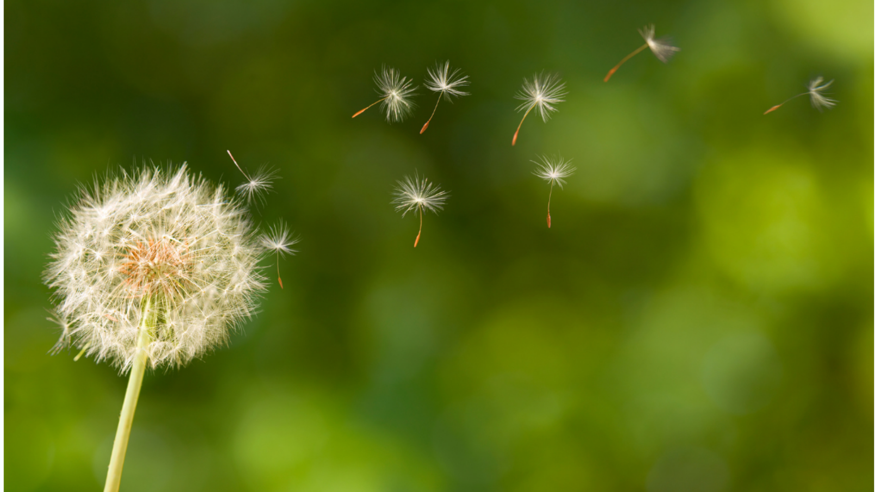 Dry Bones – God’s Breath of Life