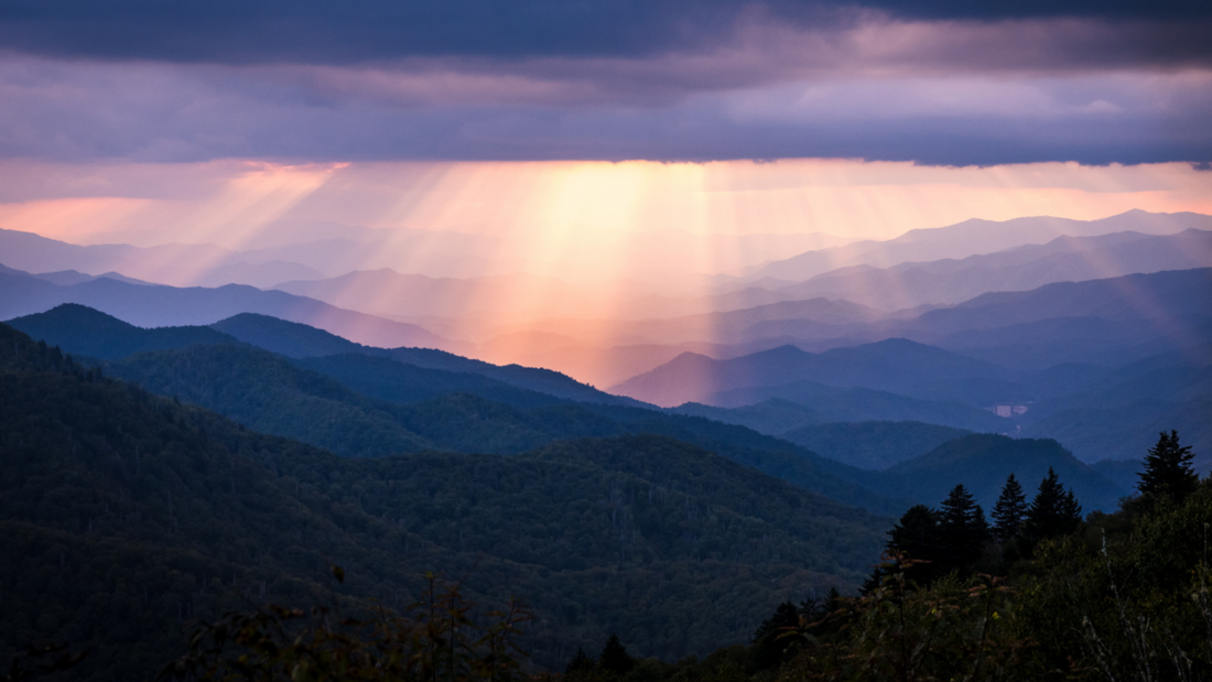 Gratitude - Thankful in the Storm
