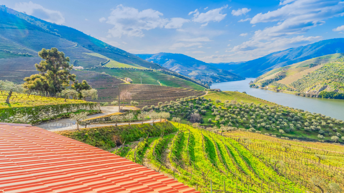 Pursuing God – Taste and See
