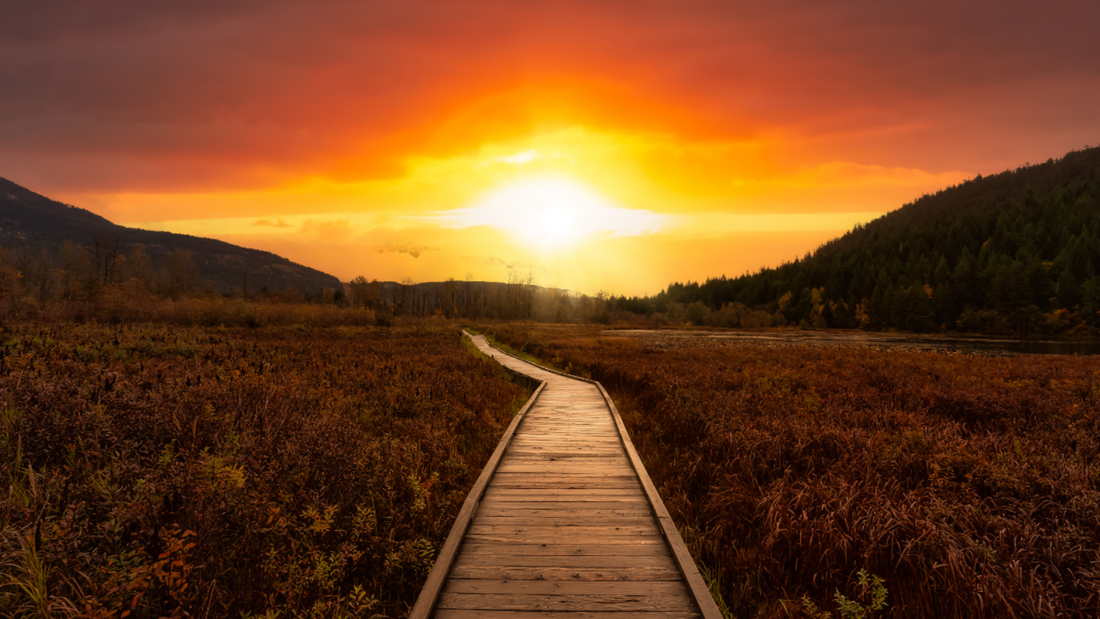 God’s Will – The Best Pathway