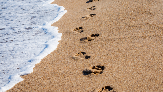 God’s Will – Spirit-Led