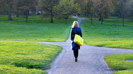 God’s Will – The Forked Road