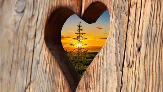 Supernatural Kindness