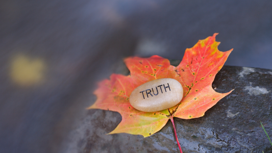 Detecting and Decoding the Lies