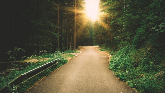 Failure – Acceptance or Denial