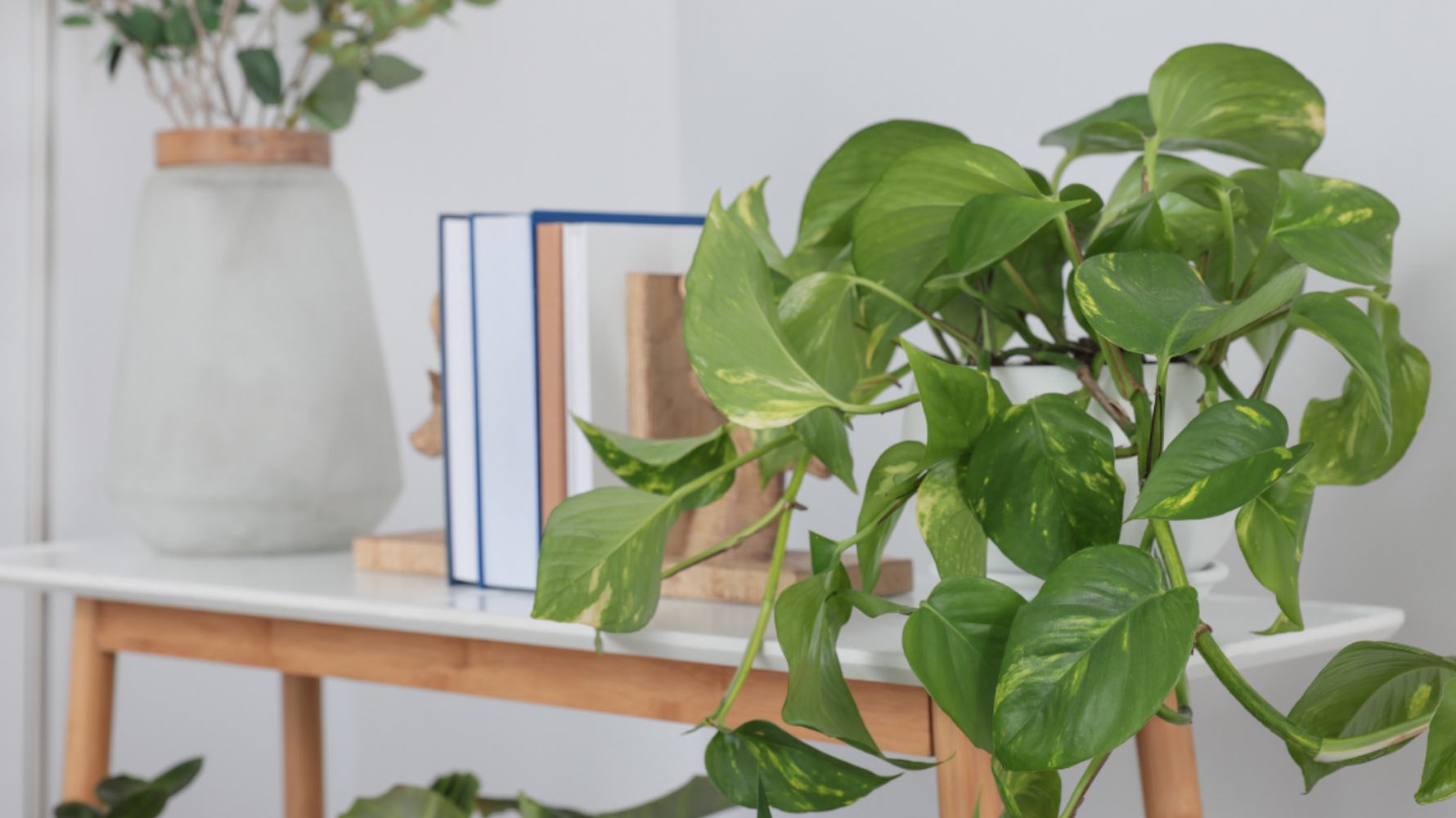 The Art of Thriving – Fruitless Distractions