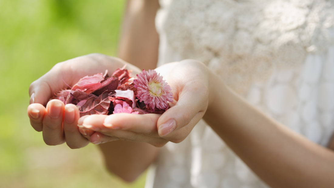 Grace and Forgiveness in the Face of Betrayal