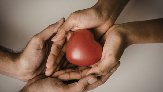 Kindness Triumphs Over Judgement