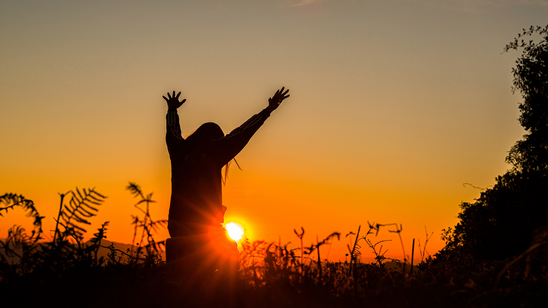 Seeking the Face of God