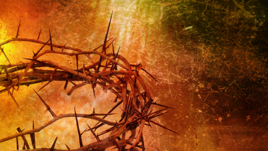 The Humility of the King