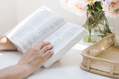 NIV Bible - Hills & Valleys Flexcover