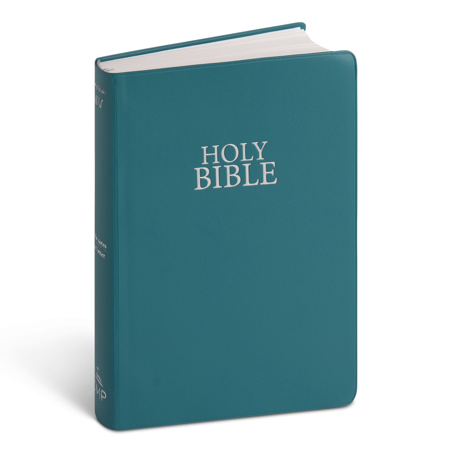 NIV Bible - Vinyl Teal Blue