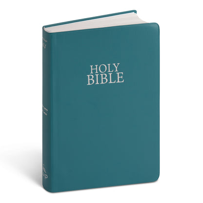 NIV Bible - Vinyl Teal Blue