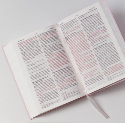NIV Bible - Blush Pink Vinyl