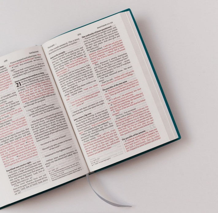NIV Bible - Vinyl Teal Blue