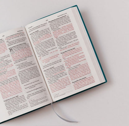 NIV Bible - Vinyl Teal Blue